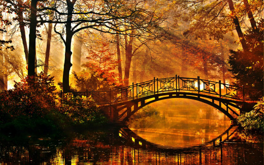 1058660 (a): :2880x1800